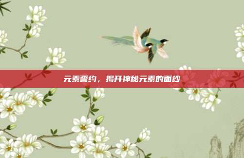 元素誓约,揭开神秘元素的面纱