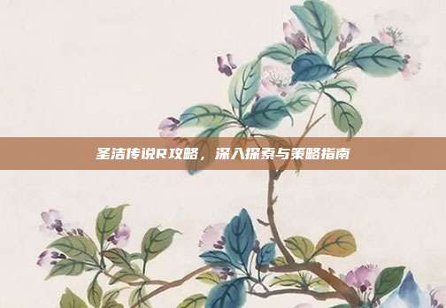 圣洁传说R攻略,深入探索与策略指南