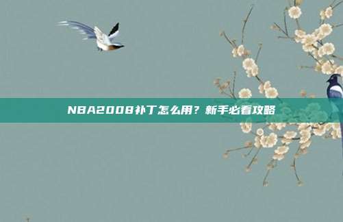 NBA2008补丁怎么用?新手必看攻略
