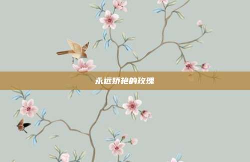 永远娇艳的玫瑰