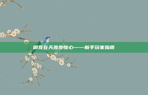 御龙在天步步惊心——新手玩家指南