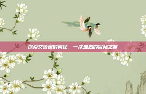探索艾鲁屋的奥秘,一次难忘的冒险之旅
