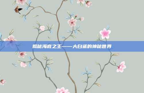 揭秘海底之王——大白鲨的神秘世界