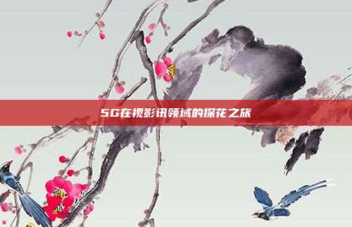 5G在视影讯领域的探花之旅
