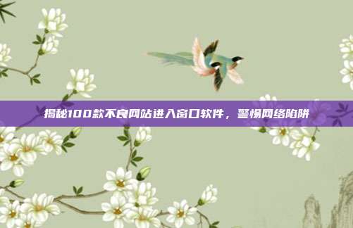 揭秘100款不良网站进入窗口软件,警惕网络陷阱