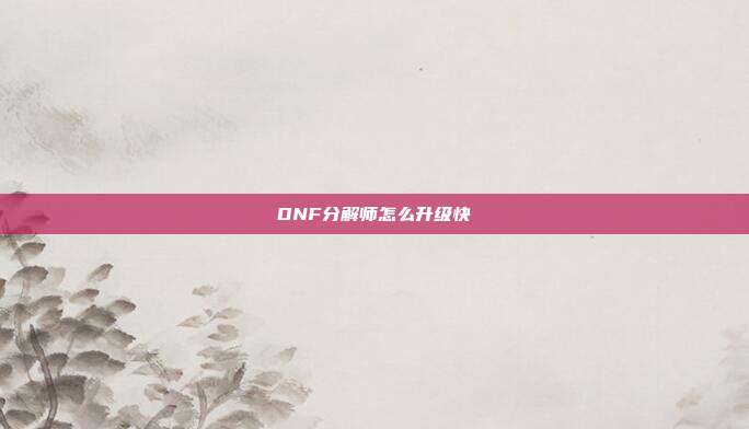 DNF分解师怎么升级快