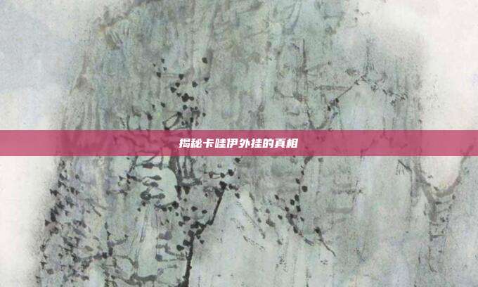 揭秘卡哇伊外挂的真相