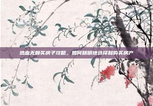 热血无赖买房子攻略,如何精明地选择和购买房产
