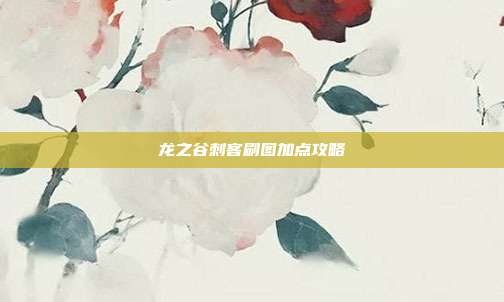 龙之谷刺客刷图加点攻略