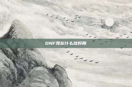 DNF现在什么挂好用