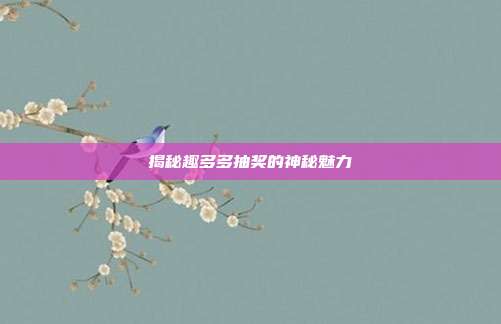 揭秘趣多多抽奖的神秘魅力