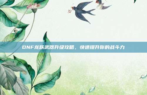 DNF龙跃武器升级攻略,快速提升你的战斗力