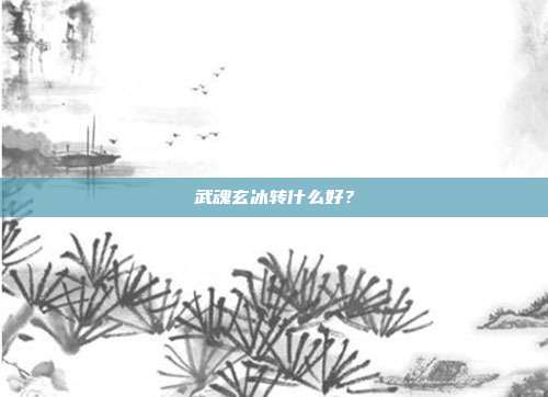 武魂玄冰转什么好?
