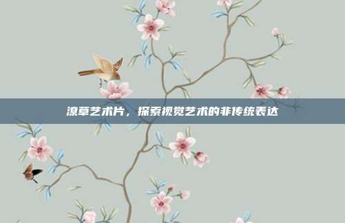 潦草艺术片,探索视觉艺术的非传统表达