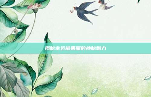 揭秘幸运糖果屋的神秘魅力