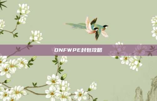 DNFWPE封包攻略