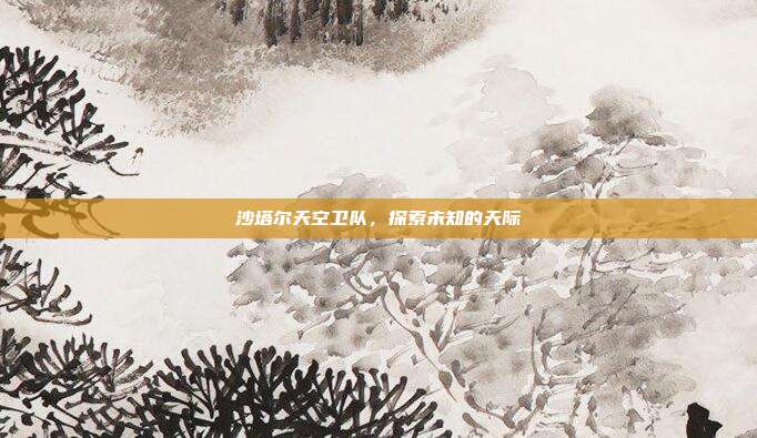 沙塔尔天空卫队，探索未知的天际