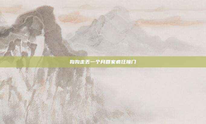 狗狗走丢一个月回家疯狂撞门