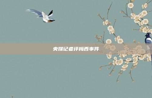 央媒记者评梅西事件