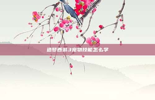 造梦西游3宠物技能怎么学