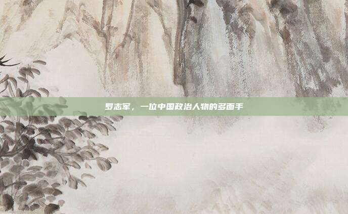 罗志军,一位中国政治人物的多面手