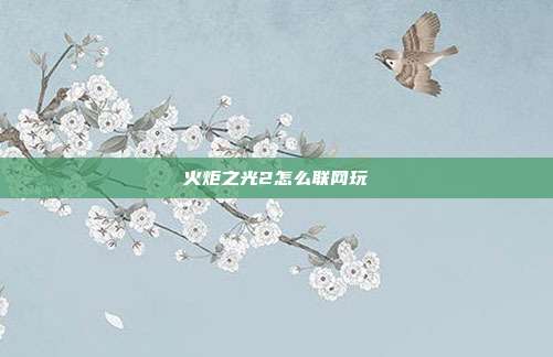火炬之光2怎么联网玩