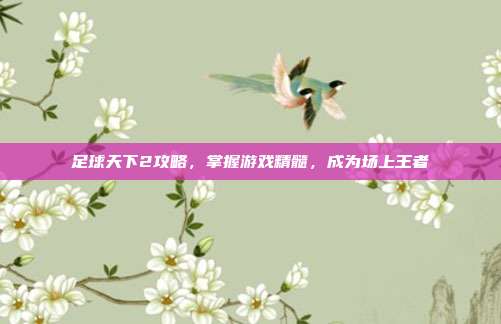 足球天下2攻略,掌握游戏精髓,成为场上王者