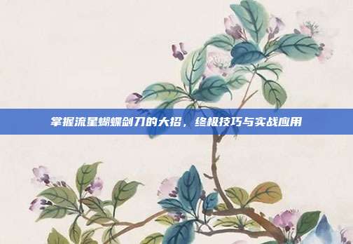 掌握流星蝴蝶剑刀的大招，终极技巧与实战应用