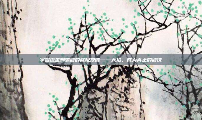 掌握流星蝴蝶剑的终极技能——大招,成为真正的剑侠