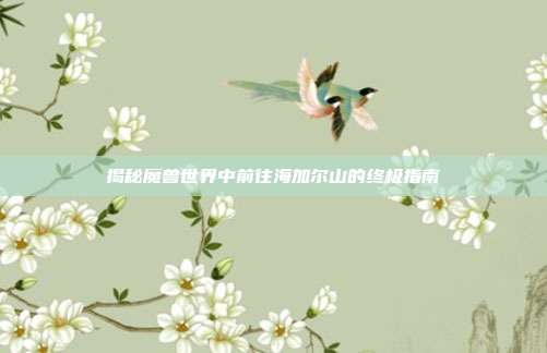 揭秘魔兽世界中前往海加尔山的终极指南