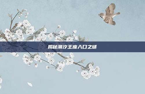 揭秘潮汐王座入口之谜