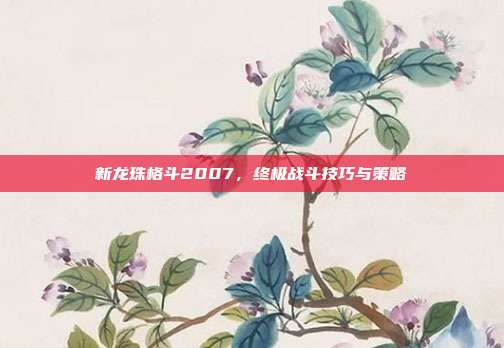 新龙珠格斗2007,终极战斗技巧与策略