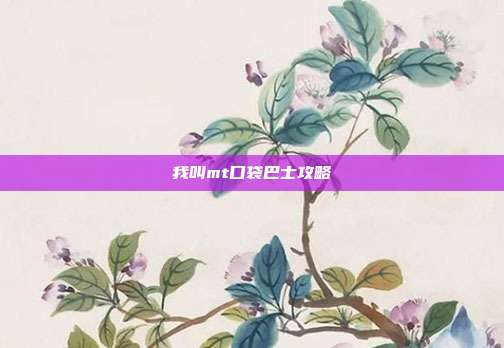 我叫mt口袋巴士攻略