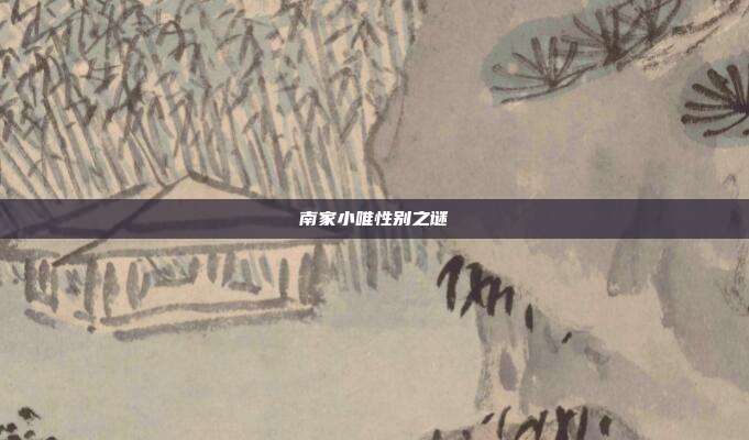 南家小唯性别之谜