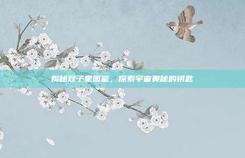 揭秘双子星图鉴,探索宇宙奥秘的钥匙