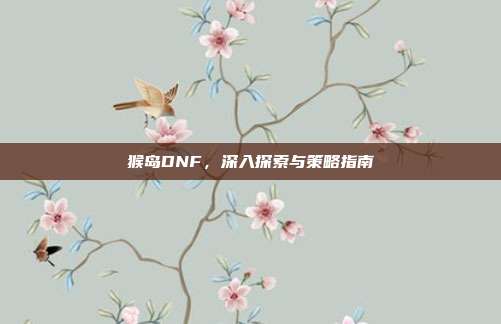 猴岛DNF,深入探索与策略指南