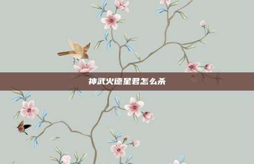 神武火德星君怎么杀