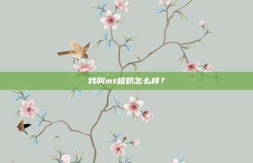 我叫mt超奶怎么样?