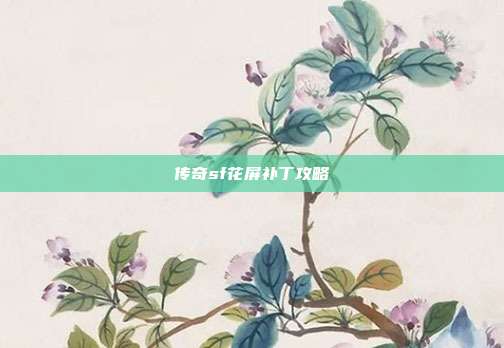传奇sf花屏补丁攻略
