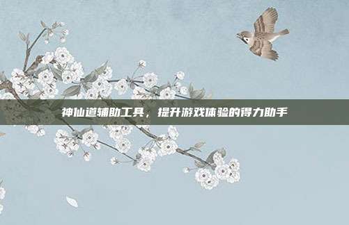 神仙道辅助工具,提升游戏体验的得力助手