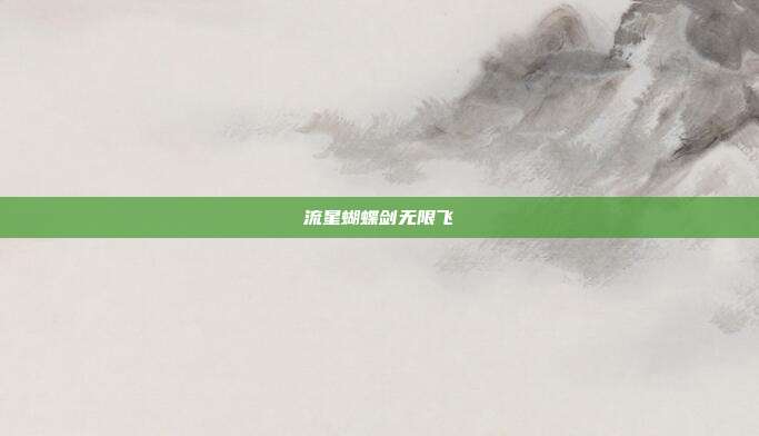 流星蝴蝶剑无限飞