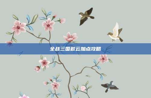 全战三国赵云加点攻略