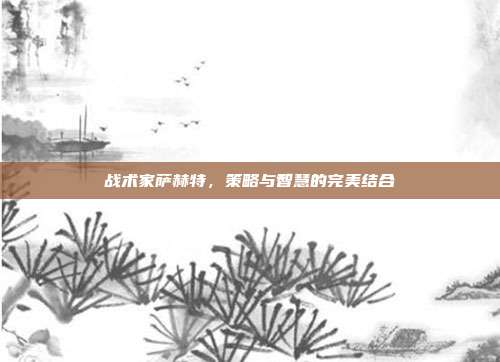 战术家萨赫特,策略与智慧的完美结合