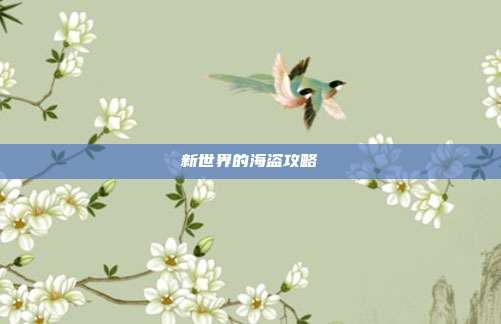 新世界的海盗攻略