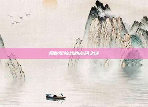 揭秘张婉悠的密码之谜