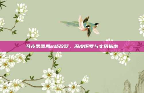 马克思佩恩2修改器,深度探索与实用指南