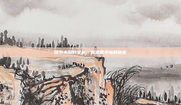 探索未知的宝藏,流浪者小岛的秘密