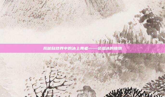 揭秘自然界中的冰上舞者——会溜冰的植物