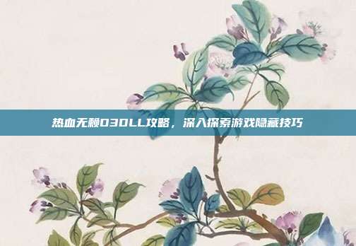 热血无赖D3DLL攻略，深入探索游戏隐藏技巧