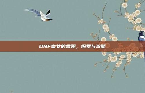DNF皇女的赏赐，探索与攻略